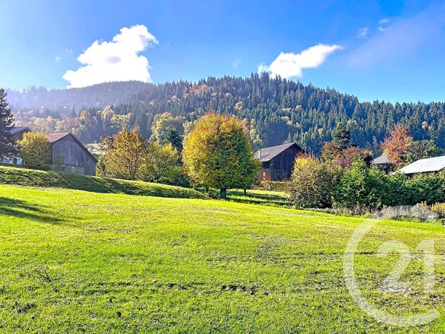 terrain à vendre - 1181.0 m2 - ST GERVAIS LES BAINS - 74 - RHONE-ALPES - Century 21 Grisol Immobilier
