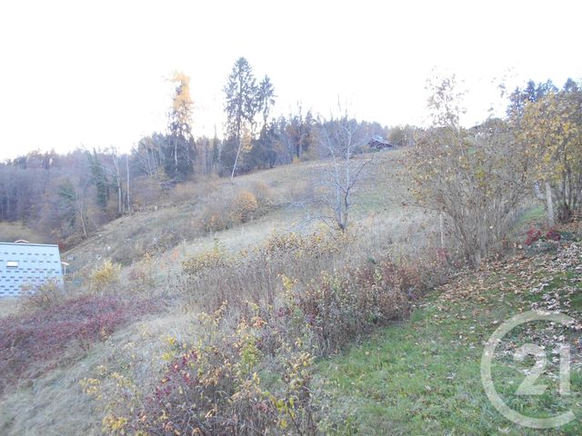 terrain à vendre - 800.0 m2 - ST GERVAIS LES BAINS - 74 - RHONE-ALPES - Century 21 Grisol Immobilier